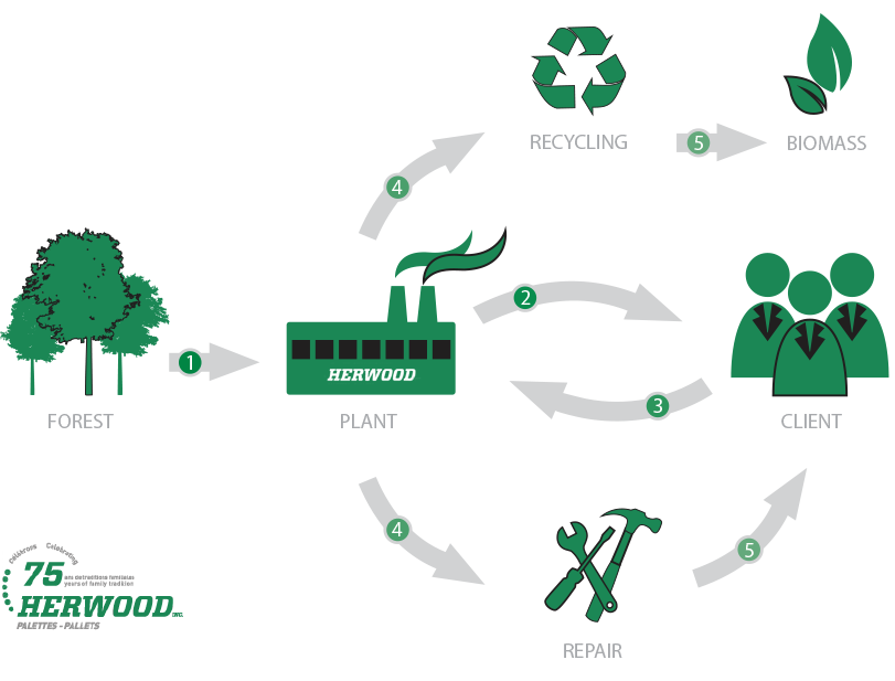 Herwood Wooden Pallet Life Cycle